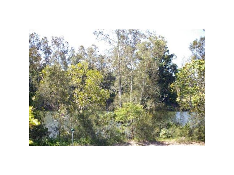 313 Taylors Arm Road, Congarinni NSW 2447