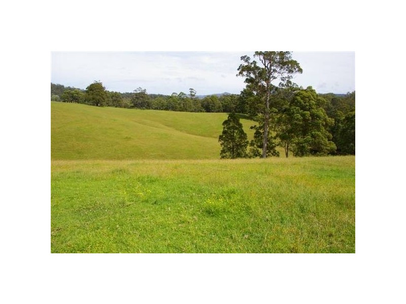 161 Southarm Road, Bowraville NSW 2449