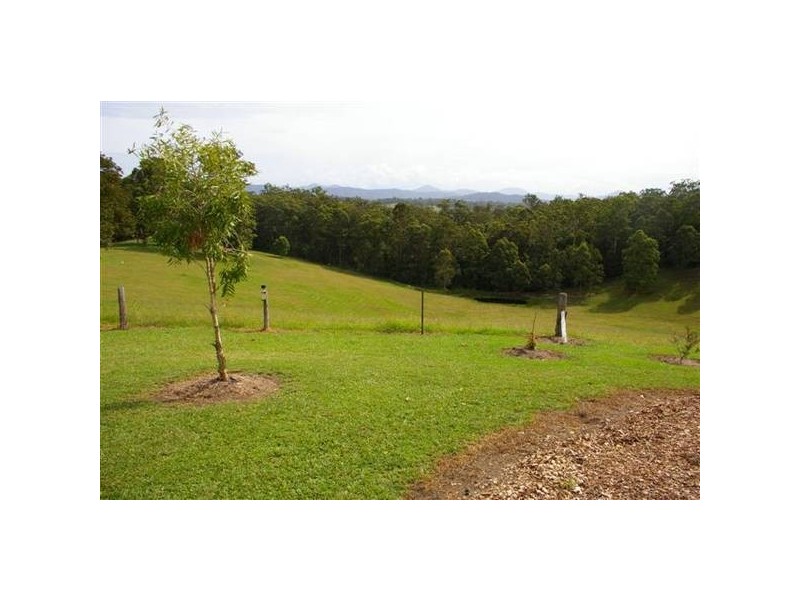 161 Southarm Road, Bowraville NSW 2449