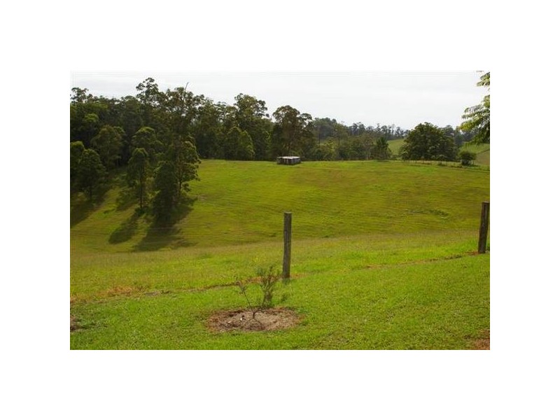 161 Southarm Road, Bowraville NSW 2449