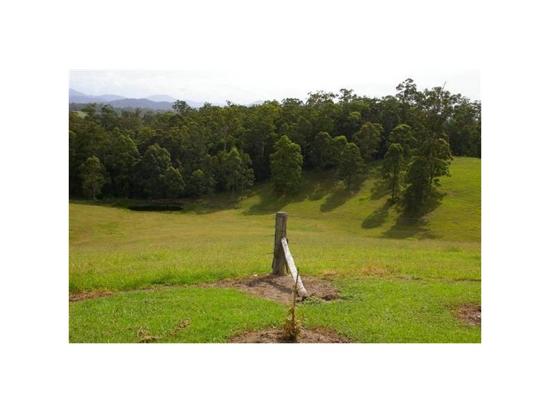 161 Southarm Road, Bowraville NSW 2449