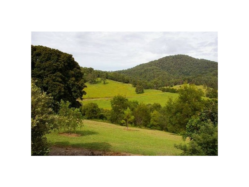 161 Southarm Road, Bowraville NSW 2449