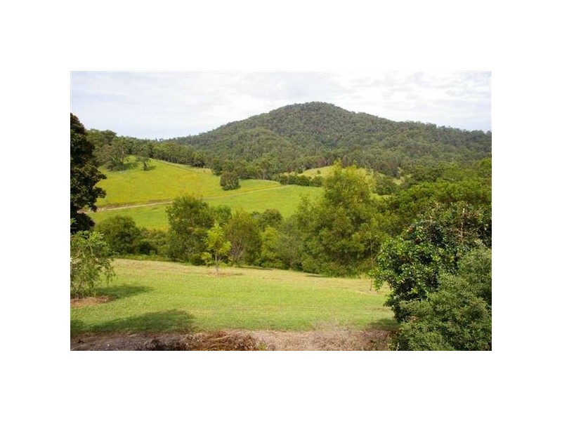 161 Southarm Road, Bowraville NSW 2449