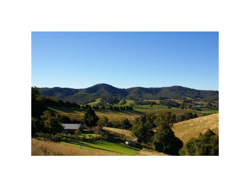 514 Welsh Creek Road, Talarm NSW 2447