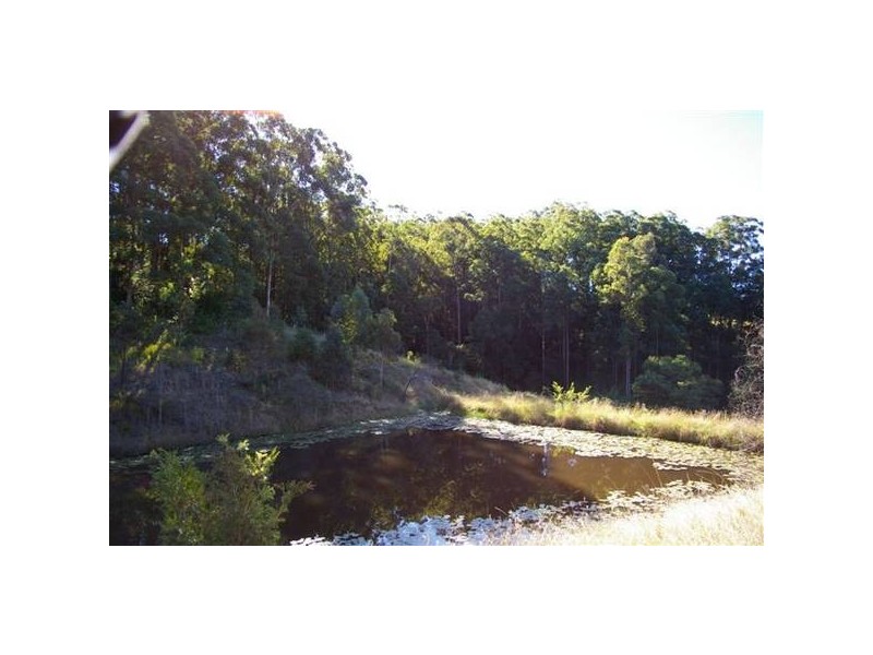 514 Welsh Creek Road, Talarm NSW 2447