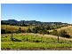 514 Welsh Creek Road, Talarm NSW 2447