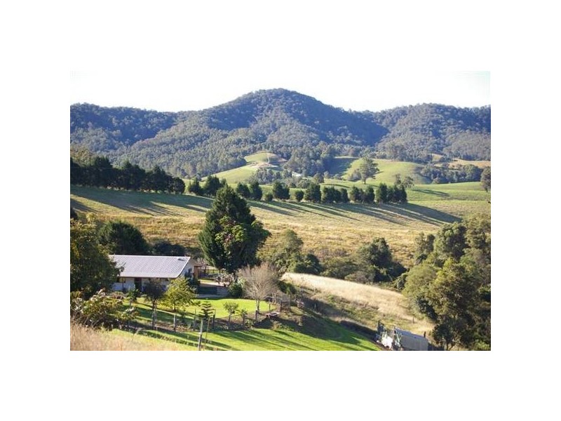 514 Welsh Creek Road, Talarm NSW 2447