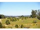 Newee Creek NSW 2447