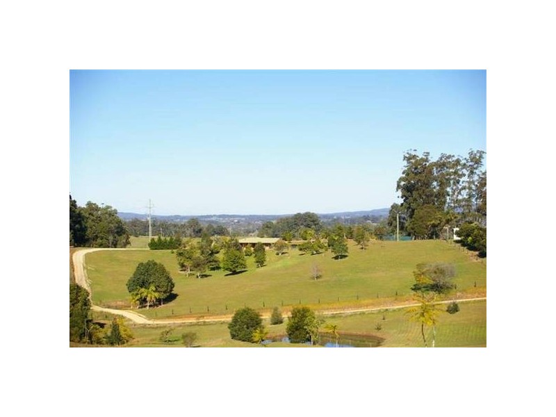 Newee Creek NSW 2447