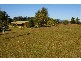Newee Creek NSW 2447