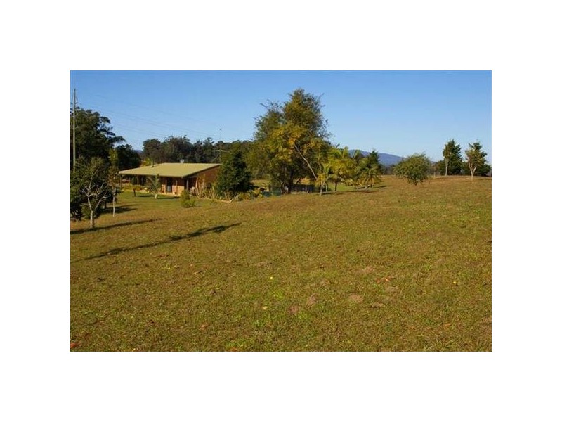 Newee Creek NSW 2447