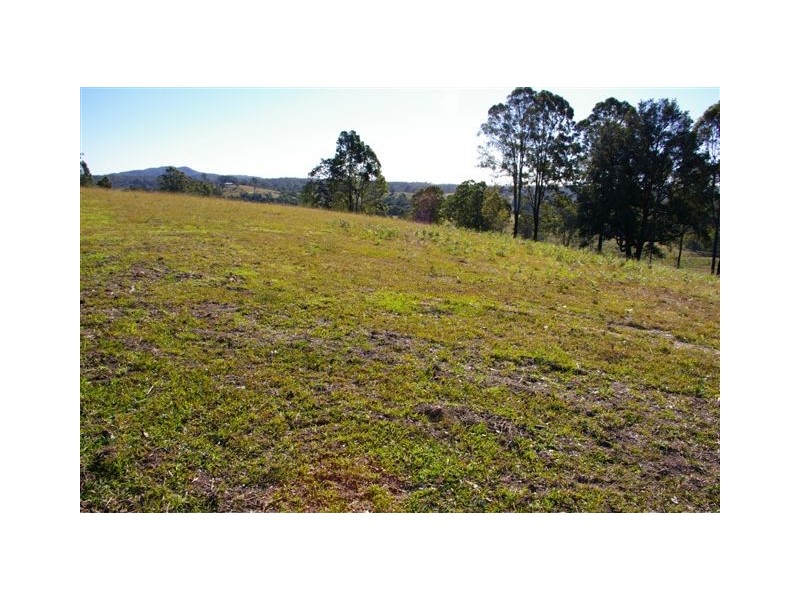 11 Moores Lane, Eungai Creek NSW 2441