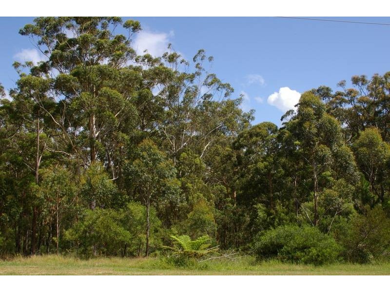 Nambucca Heads NSW 2448