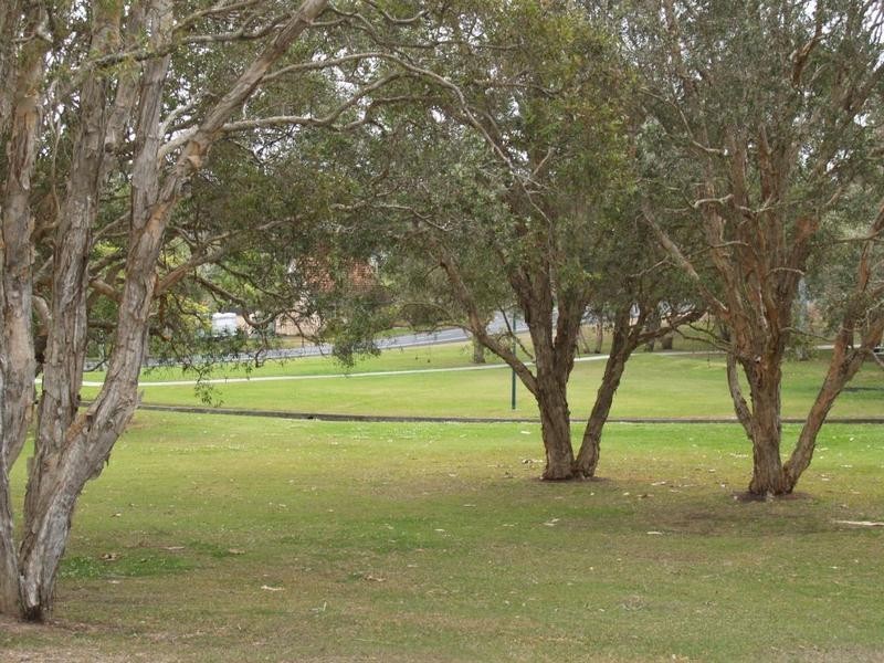 86 Kindra Avenue, Southport QLD 4215