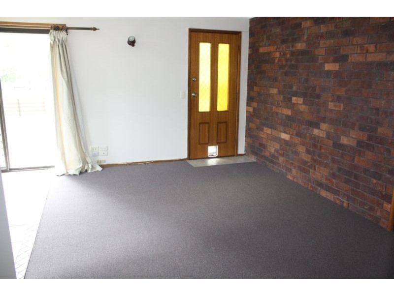 Grevillia Avenue, Southport QLD 4215