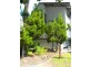 12 Leonard Avenue ‘Cosmopolitan’, Surfers Paradise QLD 4217