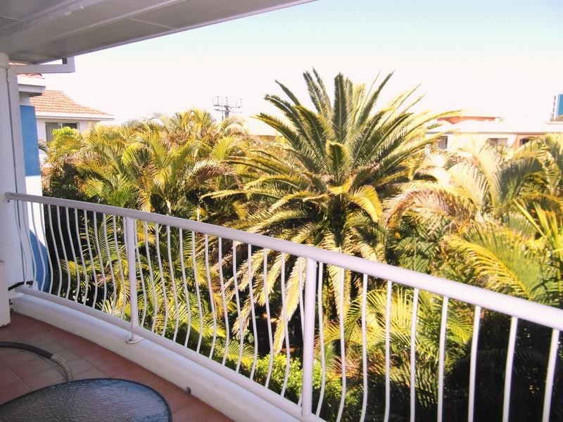 17 Purli Street, Chevron Island QLD 4217