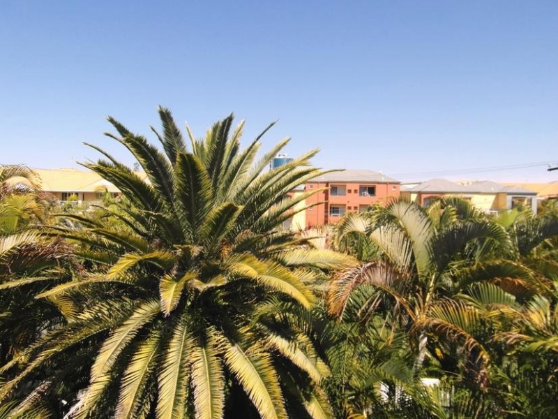 17 Purli Street, Chevron Island QLD 4217