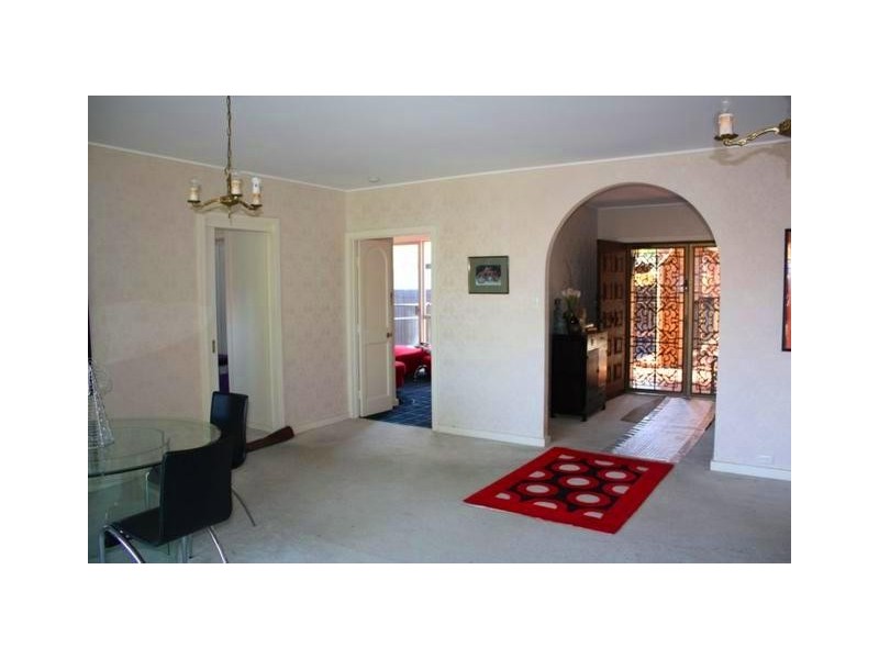 3 Platypus Avenue, Sorrento QLD 4217