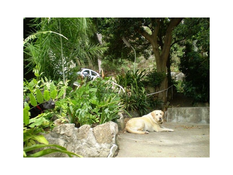 47 Greenpoint Road, Oyster Bay NSW 2225