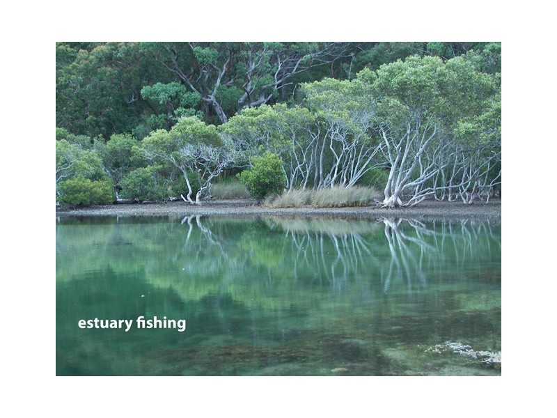 19 Kerr Avenue, Bundeena NSW 2230