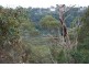 63 Central Avenue, Como NSW 2226
