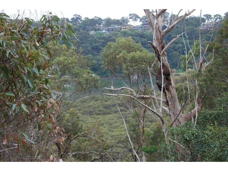 63 Central Avenue, Como NSW 2226