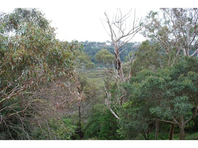 63 Central Avenue, Como NSW 2226