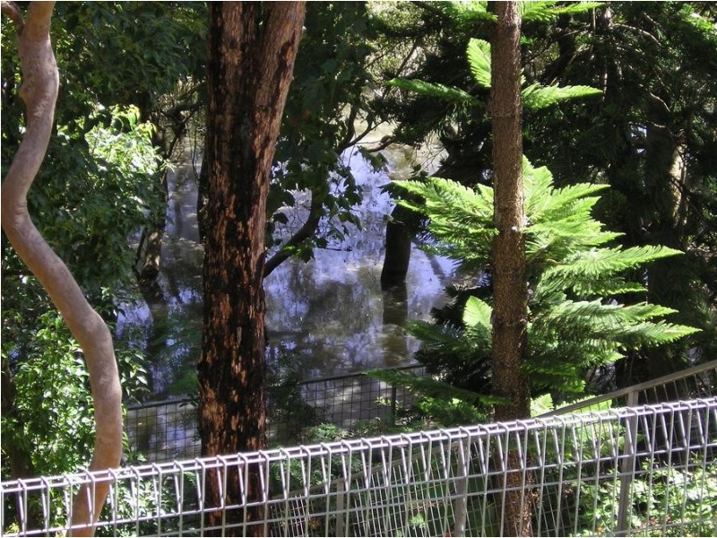 132 Siandra Drive, Kareela NSW 2232