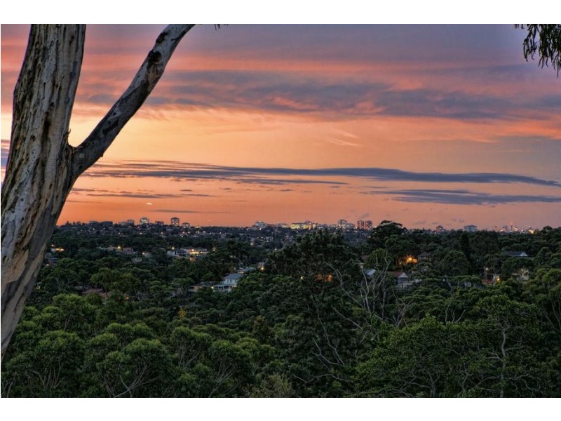 99 Caravan Head Road, Oyster Bay NSW 2225