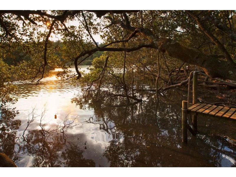 1 Arthur Place, Bonnet Bay NSW 2226