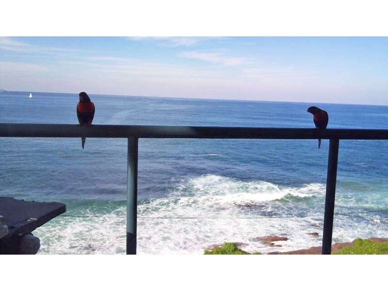 6/23 The Esplanade, Cronulla NSW 2230