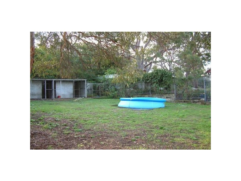 117 Novara Crescent, Como NSW 2226