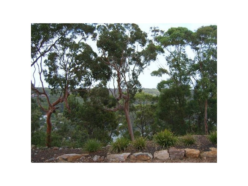 42 Arana Close, Bangor NSW 2234