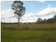 Yorklea NSW 2470