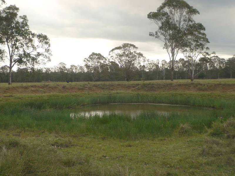 Yorklea NSW 2470