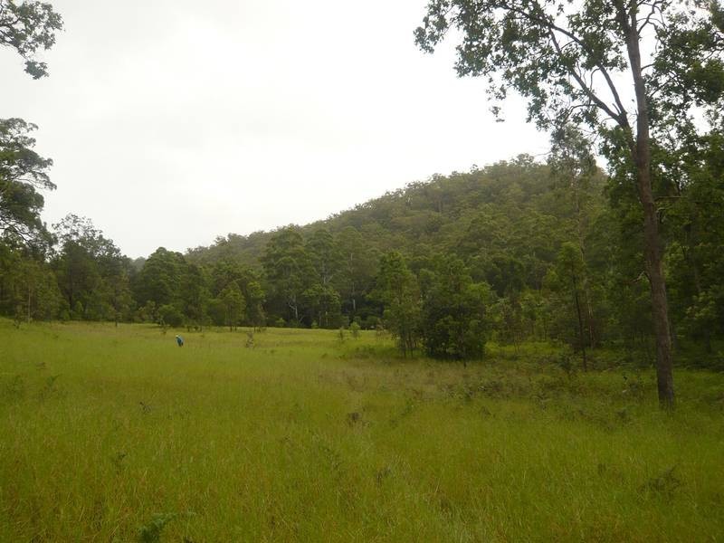 Mongogarie NSW 2470