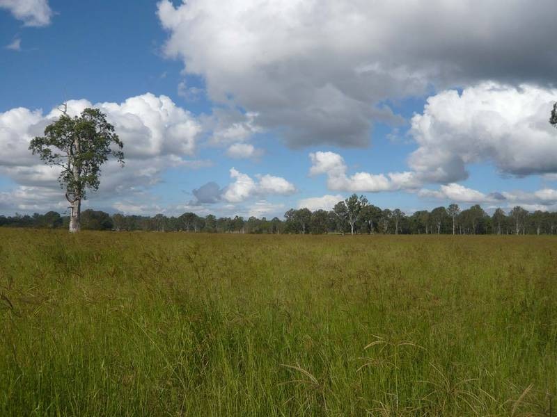 Leeville NSW 2470