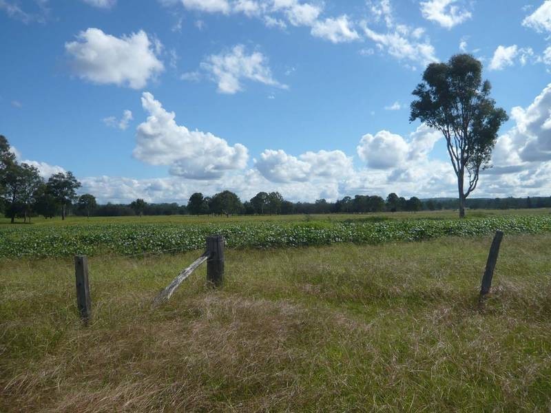 Leeville NSW 2470