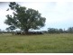 Ruthven NSW 2480