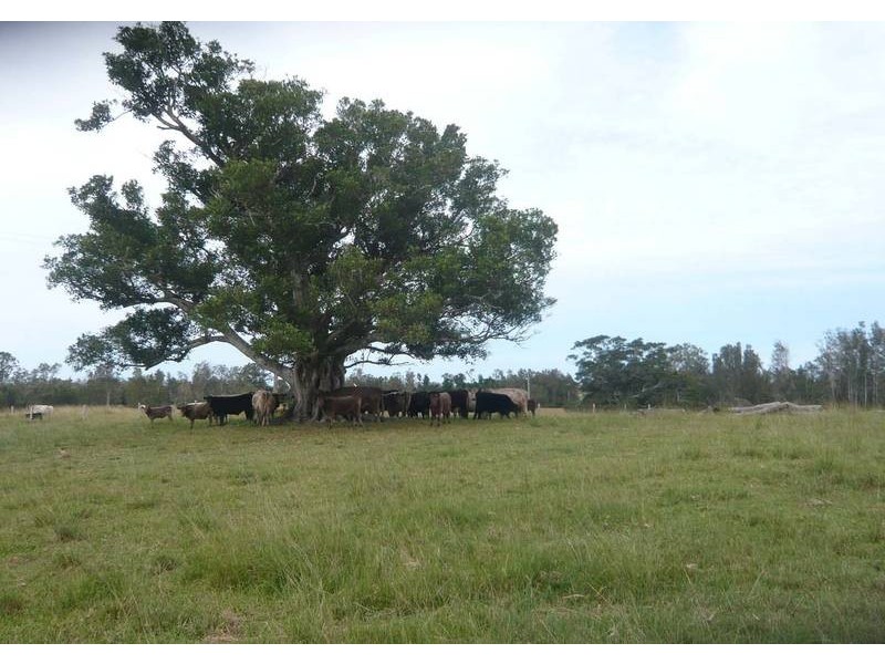 Ruthven NSW 2480