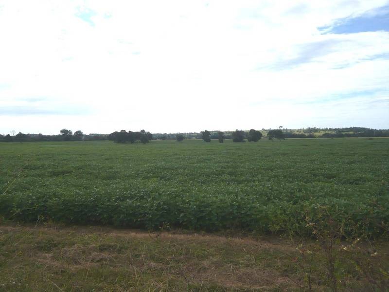 Ruthven NSW 2480