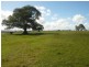 Mckees Hill NSW 2480