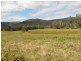 Old Bonalbo NSW 2469