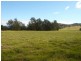 Old Bonalbo NSW 2469