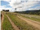 Old Bonalbo NSW 2469