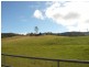 Old Bonalbo NSW 2469