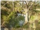 Bonalbo NSW 2469