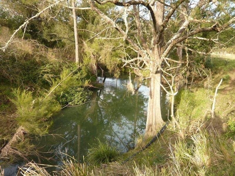 Bonalbo NSW 2469
