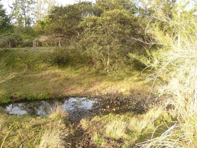 Bonalbo NSW 2469
